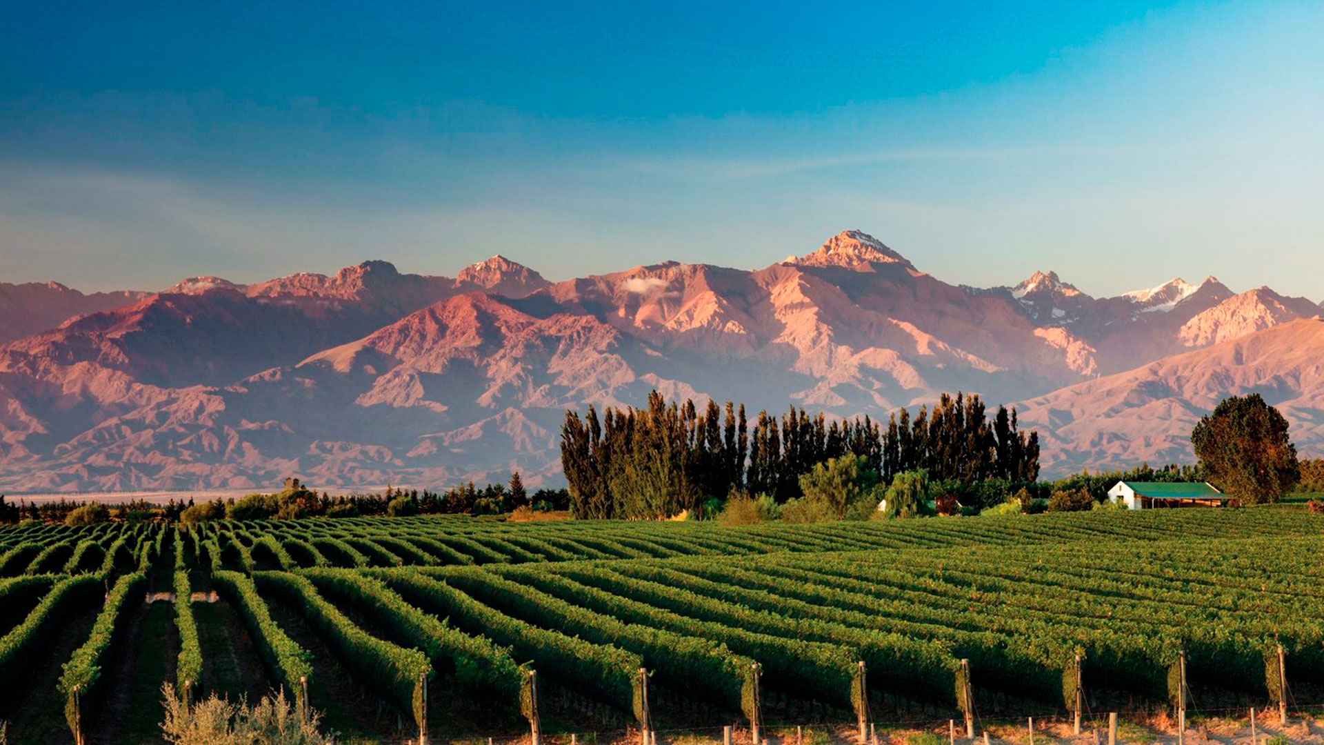 ecohotelargentina.com