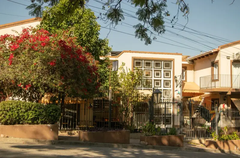 Fachada de Hotel del Monumento entre árboles en flor
